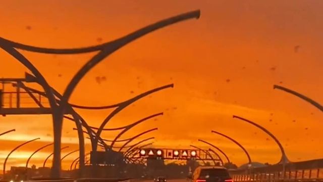 Слушай, а поехали на Аляску? смотреть онлайн