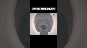 Worst Ways Animals Have Died 😱 (Shorts Compilation)