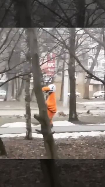 Курица на улицах Ставрополя смотреть онлайн