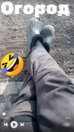 Заволочил огород весна живой звук