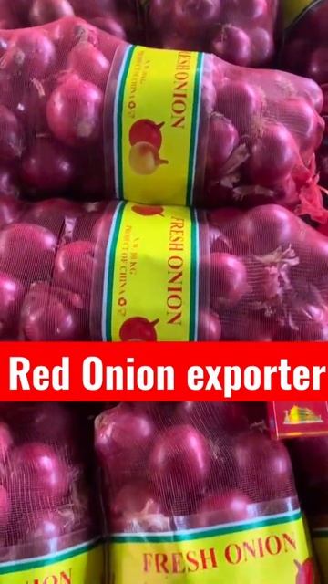 Red onion for export смотреть онлайн