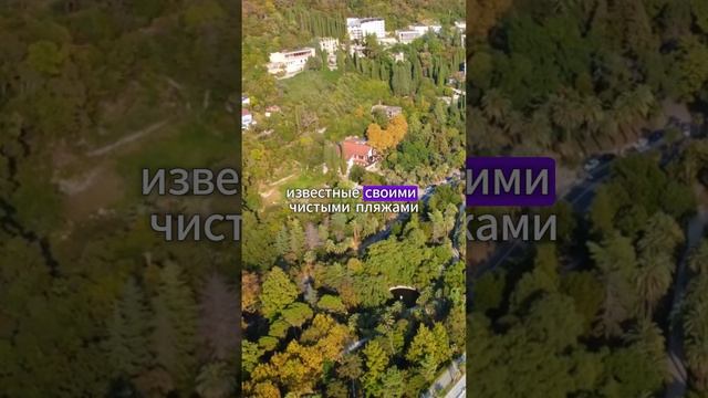 самый дешёвый отдых в Абхазии смотреть онлайн