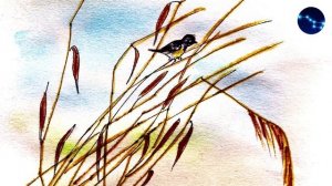 Разговор птиц и зверей / Пришвин М. / Рассказ о животных