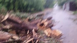 Вырубая лес рядом с табличкой подиум построили а потом снесли__доступа в парк нет одни ступеньки