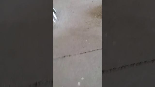 наша новая квартира. часть один. смотреть онлайн