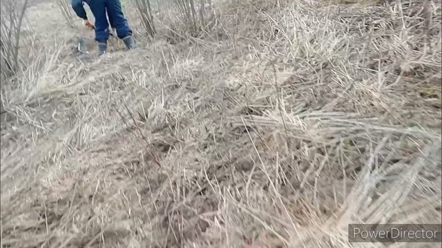 Металлокоп! Золото Кочубея! Поиск металла! поиск чермета! Весенний коп продолжается!