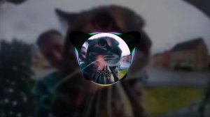 Biksplew *мяу* phonk