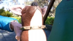 Веселая школа с Машей Капуки Кануки: играем на детской площадке! Развивающие видео для детей