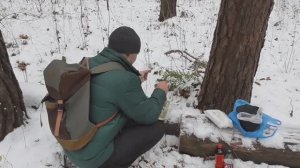 ВЛОГ ЛЕСНОЙ ОБЖОР, ДУШЕВНОЕ ЧАЕПИТИЕ В СОСНОВОМ БОРКЕ, ПЕРВЫЙ СНЕГ, 2-ЧАСТЬ НА ЧЕРНЫЙ ЧАЙ