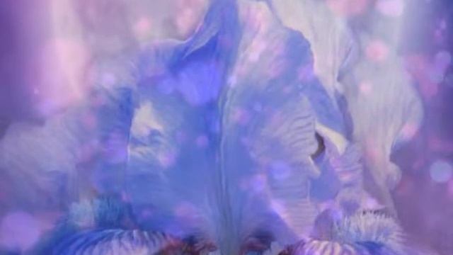 Carol Cavalaris и ее цифровая живопись