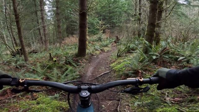 E-bikes Are Evolving Rapidly, This Bike Is A Prime Example   Transition Regulator CX