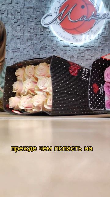 Тайны и секреты Эквадорских роз #розы #flower #флористика #курсыфлористики