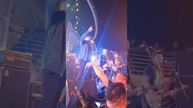 Punk Rock & Roll Street Dogs смотреть онлайн