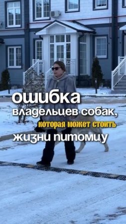Ошибка владельцев собак, которая может стоить жизни питомцу.