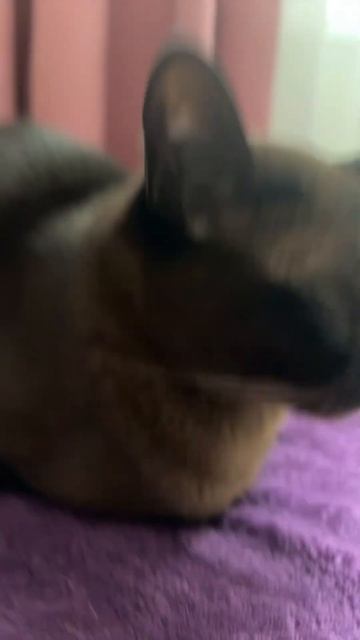 #топ #automobile #music #roblox #роблокс #kkubi #voiceeffects #fyr #유백합 #rap смотреть онлайн