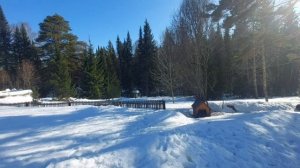 14.03.23. Евдокия Свистунья, Евдокия Плющиха, Авдотья Весновка. Что такое Веснянки_