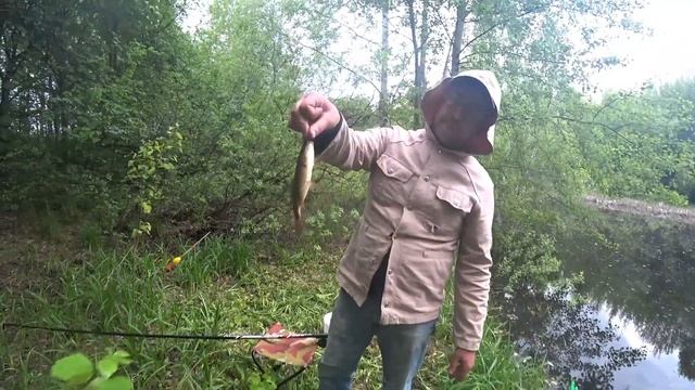 ЗОЛОТЫЕ КАРАСИ ИЗ ЛЕСНОГО ОЗЕРА смотреть онлайн