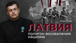 Историк: Прибалтика показала Украине, как реанимировать нацизм