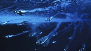 Kraus canta "Je crois entendre encore" (1975)