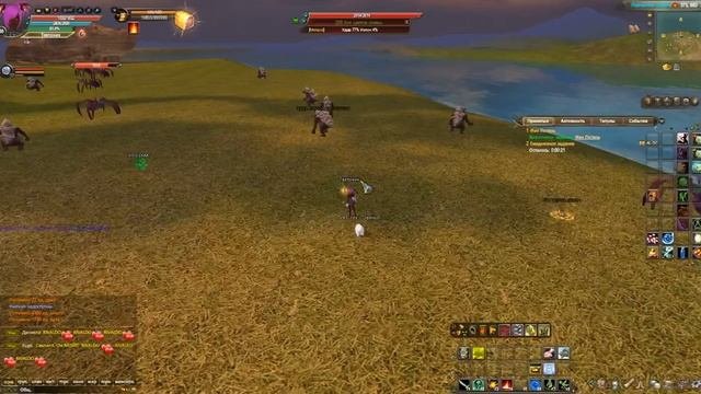 Perfect World котёнок цветов сливы