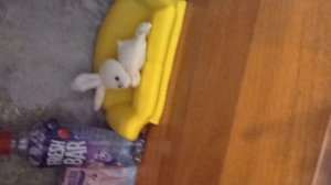 НЕ ЛЮБЛЮ ЭСТЕТИКУ!