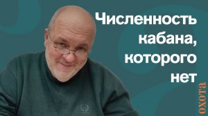 Кабан, которого нет. Валерий Кузенков о том, как отстреливают кабана.