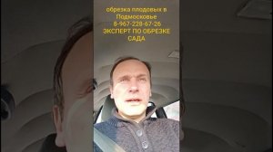 как же правильно обрезать плодовые деревья?