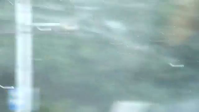 Быдло - водитель маршрутки смотреть онлайн