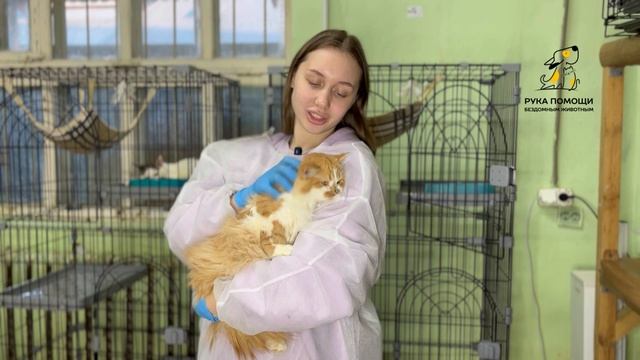 Шикарный Дональд продолжат лечение от лишая. Поддержать⬇️
