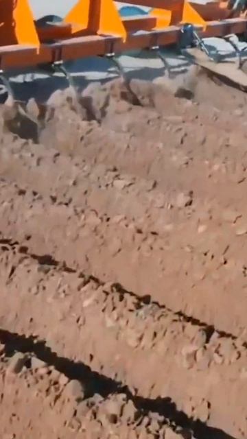 Preparing the Field for Planting