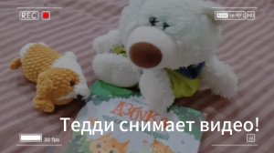 Тедди один снимает видео???