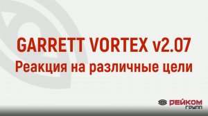 Реакция GARRETT VORTEX VX9 на различные цели