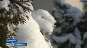 Выходные на Ставрополье будут аномально теплыми для начала весны