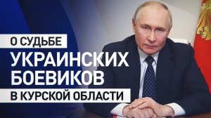 Путин ответил на призыв Трампа пощадить вэсэушников в Курской области