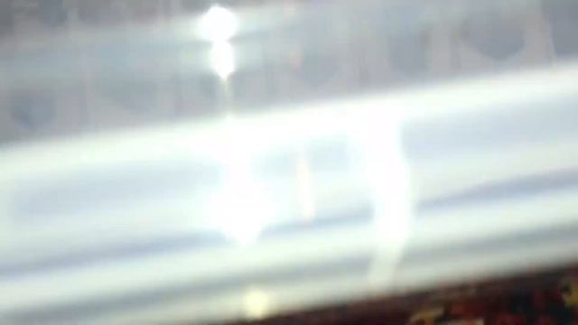 So how big is my Cyriocosmus ritae? смотреть онлайн