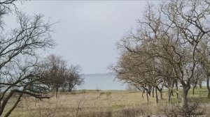 Керчь. Приморский парк до реконструкции 14.03.25