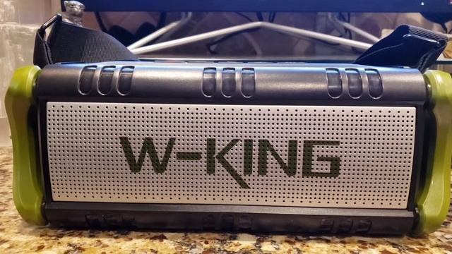 W-King D9-1 vs W-King D8 Bluetooth Speaker - Updated Review
