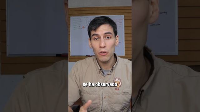 Disfunción Cognitiva en Perros. El Omega-3 es un nutriente esencial para la salud del cerebro 🧠🐶 смотреть онлайн