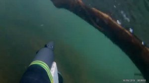 Судачек. Сакмара