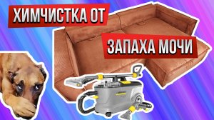 Химчистка дивана от следов и запаха собачьей мочи