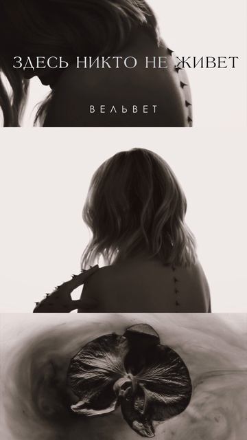 Вельвет — Здесь никто не живет (Тизер клипа) #музыка #русскаямузыка смотреть онлайн