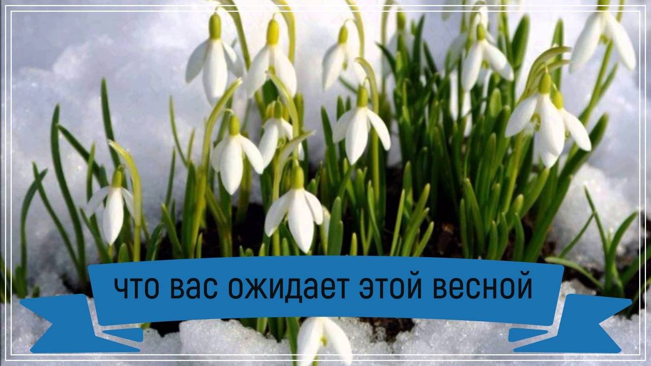 Новый таро расклад - что ожидает вас этой весной.
