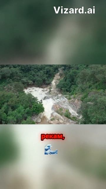 Поднимитесь на высшую точку Таиланда – гору Дой Интонон! смотреть онлайн