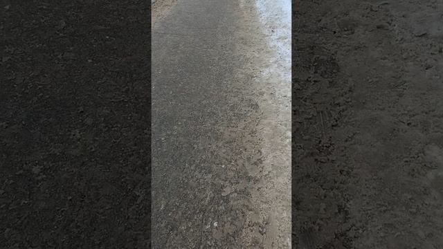 28 февраля 2025 г., 15:02:47
ул. Белинского
VID_20250228_150034273