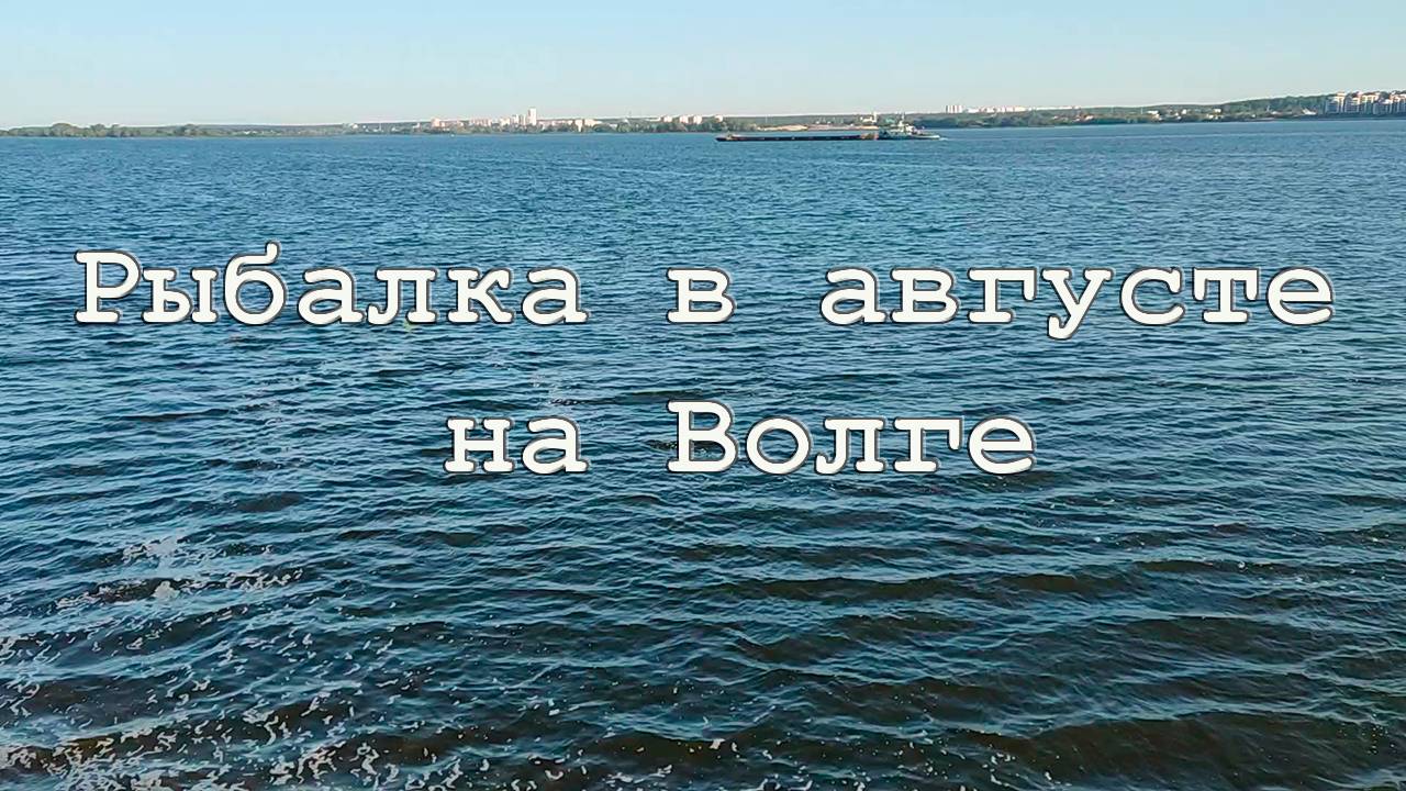 Рыбалка в августе на Волге