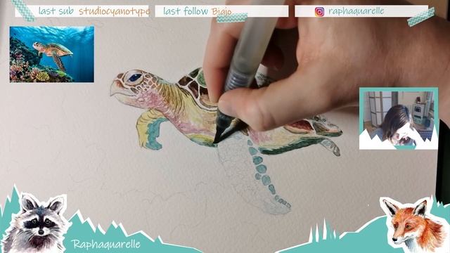 Live Aquarelle #22 : Eaux turquoises et tortue - Part 2 (VOD) смотреть онлайн