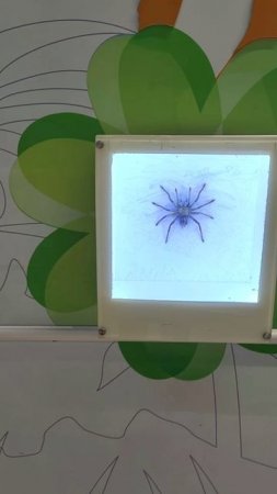Коридор к туалету в китайском ТЦ
