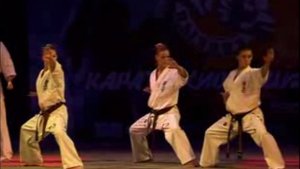 Красота Киокушина_Девушки ката крутят чётко