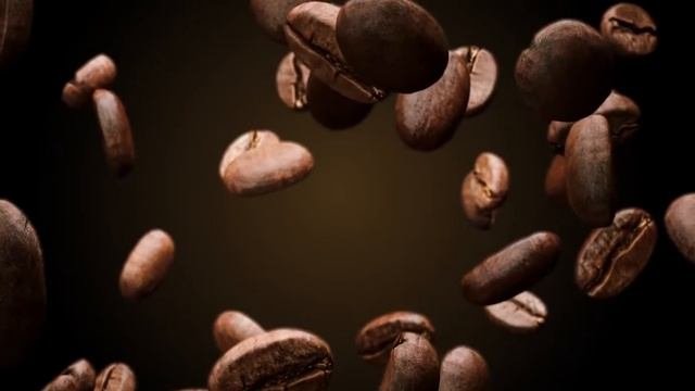 LogoDesign Alpaca Coffee Commercial