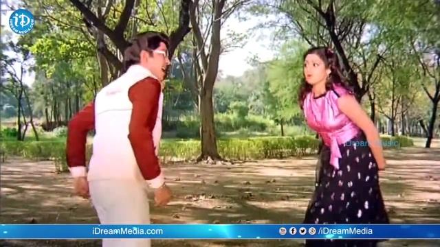 Navvinchi Kavvinchu Video Song - Muddula Mogudu Songs  ANR  Sridevi  K S Prakash Rao